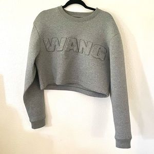 Alexander Wang x HM Scuba Cropped Sweater